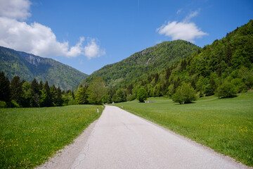 Fototapeta na wymiar Radovna Valley in spring in Slovenia 