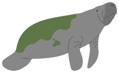Manatee Single 19 PNG