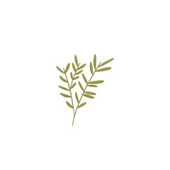 Simple Watercolor Textured Plant