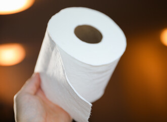 roll of toilet paper on a clean, white background, symbolizing comfort, hygiene, and the everyday essentials of modern life