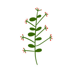 illustration of plants and flowers for christmas