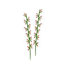 Fototapeta na wymiar illustration of plants and flowers for christmas