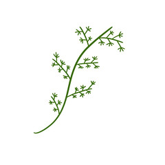 illustration of plants and flowers for christmas