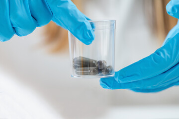 Medical innovation as a scientist meticulously prepares fecal transplant caps in the lab. Witness the dedication and precision behind thisresearch aiming to revolutionize healthcare - obrazy, fototapety, plakaty