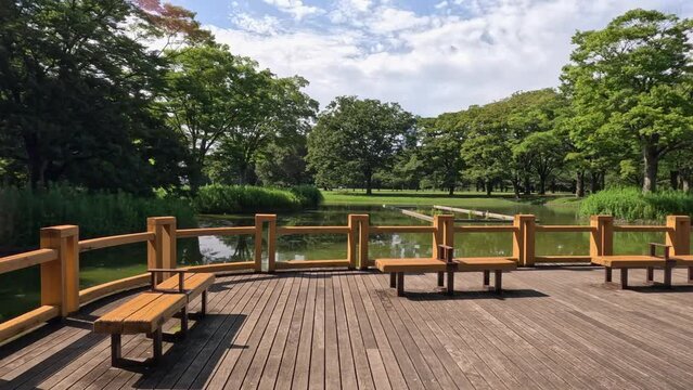 緑に囲まれた真夏の公園の風景。池の脇にある誰もいないベンチ。