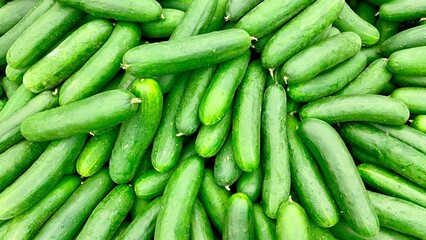 fresh cucumbers on the market