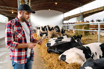 Farmer man wearing cap and plaid shirt working on digital tablet computer at livestock farm on...