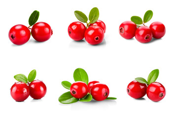 Collection of cranberries with green leaves isolated on transparent background
