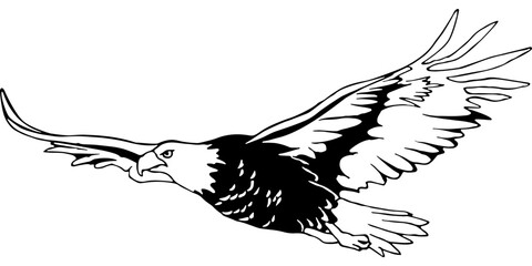 Eagle Hunting Tattoo Emblem