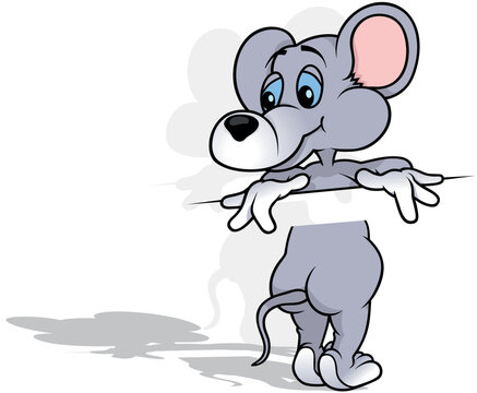 Blue-eyed Gray Mouse Divided into Two Parts