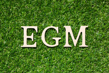 Wood alphabet letter in word EGM (Abbreviation of Extraordinary General Meeting) on artificial...