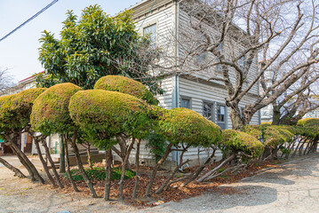 昭和初期の木造建築