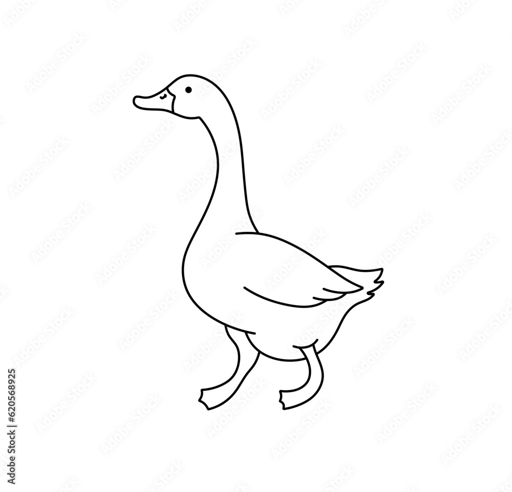 Canvas Prints vector isolated one single walking goose side view colorless black and white contour line easy drawi
