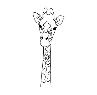 Vector isolated one single cute cartoon giraffe head with neck front view colorless black and white contour line easy drawing
