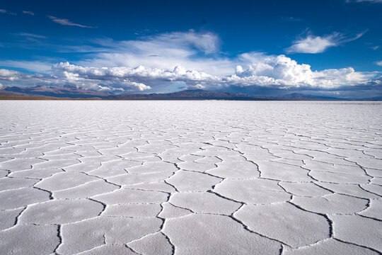 textura salar