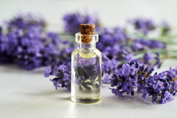 A bottle of essential oil with blooming lavender plant on white table