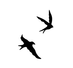 Vector isolated two pair couple flying swallows birds  side view colorless black and white contour outline silhouette shadow shape