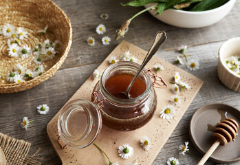 Lawn daisy syrup with fresh Bellis perennis flowers