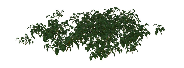 Tropical Rain Forest Foliage 3D Illustration, Image 11 of series
