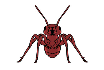 Ant animal head cartoon wildlife character art