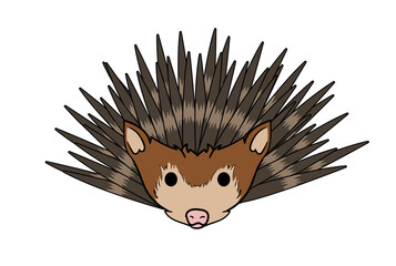 Hedgehog animal head cartoon wildlife face character art