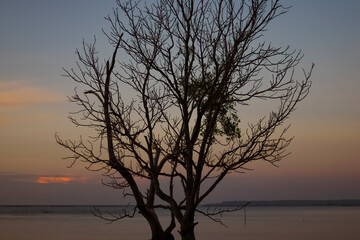 Panoramic view of Kenyamukan Beach, Sangatta, East Kalimantan, Indonesia in the morning before Eid al-Adha.