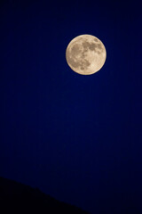 the moon at the golden hour
