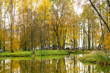 Colorful city park scene in the fall with orange and yellow foliage. Beautiful autumn scenery Lithuania.