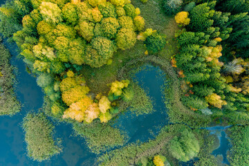 Naklejka na ściany i meble Amazing aerial top down view of Kirkilai karst lakes in the bright sunny autumn morning, Birzai eldership, Lithuania