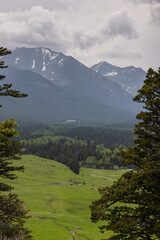 Montana Landscape