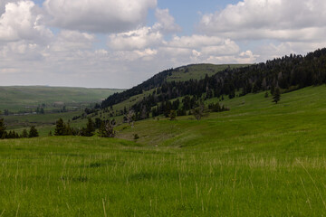 Obraz premium Montana Landscape