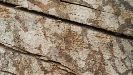 wooden texture and wall texture blended