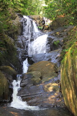waterfall in the forest