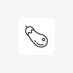 Exquisite Brinjal Vector Line Icon
