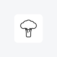 Nutritious Broccoli Vector Line Icon