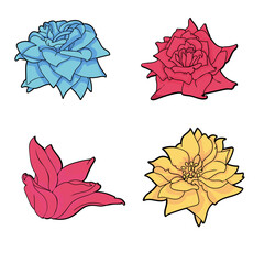 Hand Drawn Flowers