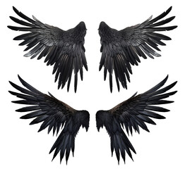 set of spread raven crow bird wings on transparent background