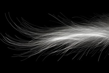 Illustration of a white feather against a contrasting black background, created using generative AI techniques