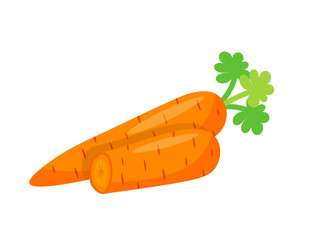 Cute carrot with green leaves, healthy vegetable for cooking vector illustration. Cartoon fresh orange carrot harvest from agriculture farm garden, food production isolated on white background