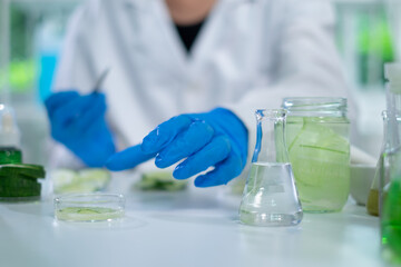 Female scientist is lifting or doing experiment of cucumber cosmetic, skincare and treatment laboratory. Concept of moisturizer, serum, gel or cream essential experiment or research. Cosmetology test.