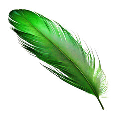 green feather isolated on transparent background cutout