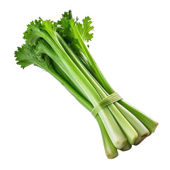 celery isolated on transparent background cutout