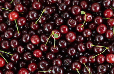 Fresh cherry pattern. Fruit background. Wallpaper for health food store.