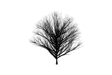 Tree silhouette botanic artwork seasonal wood shape art