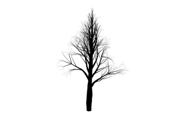 Fototapeta premium Tree silhouette botanic artwork seasonal wood shape art