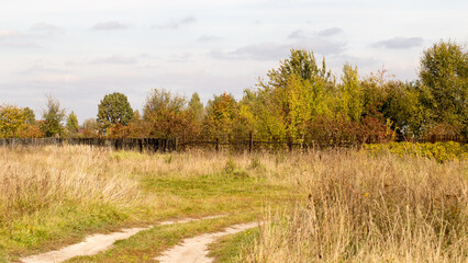 Obraz premium Yellow autumn grass in the field, golden landscape