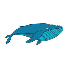 Kids drawing Cartoon cute blue whale Vector Illustration Isolated on White Background
