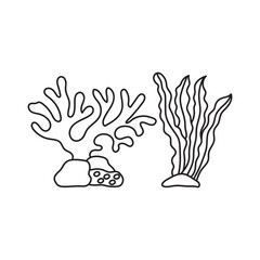 Hand drawn Kids drawing Cartoon ocean plants. Anemones, corals and seaweed, marine kelp, aquarium plants. Underwater reef flora