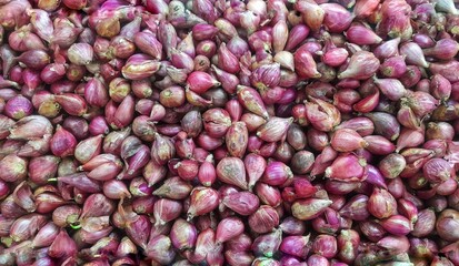 Red garlic for cooking