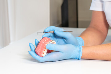 Close-up dentist hands in medical gloves hold plaster human jaw layout using plugger, describe...